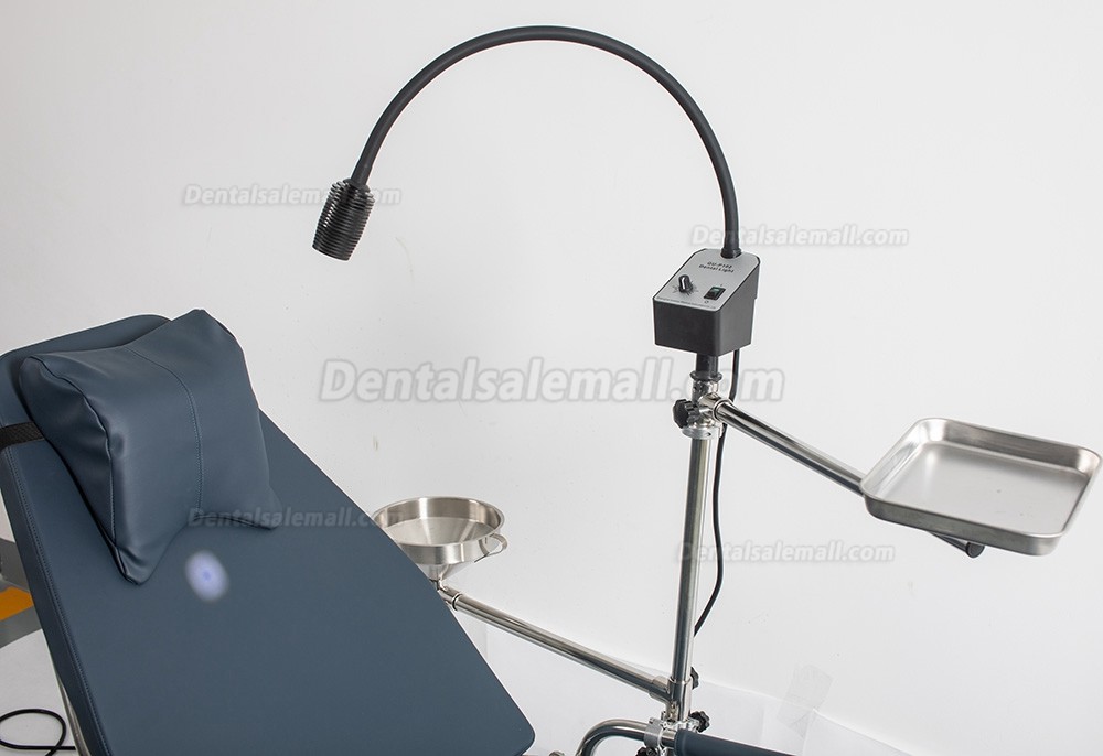 Greeloy GU-P101 Updated Portable Dental Folding Chair + GU-P102 Dental Operating Exam Light 